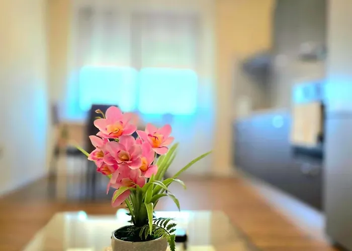 Orchidea * Quartu Sant'Elena